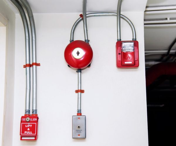 201168053_m_normal_none-qfhphqsm7f40msxnnhud1vfm69lvxo9gd7rvdor0y0