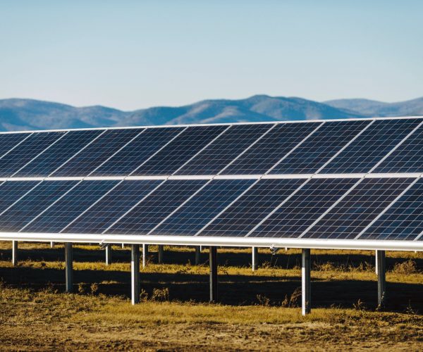 88175428_m_normal_none-qfmrey86kahc15uhvxcbgpc0xzei935p4s0ma86dfs